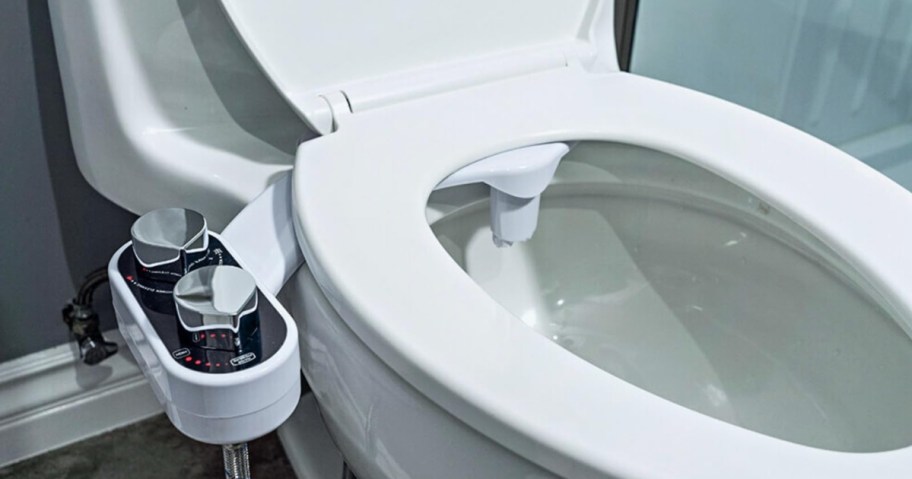 toilet with clear rear bidet attachment