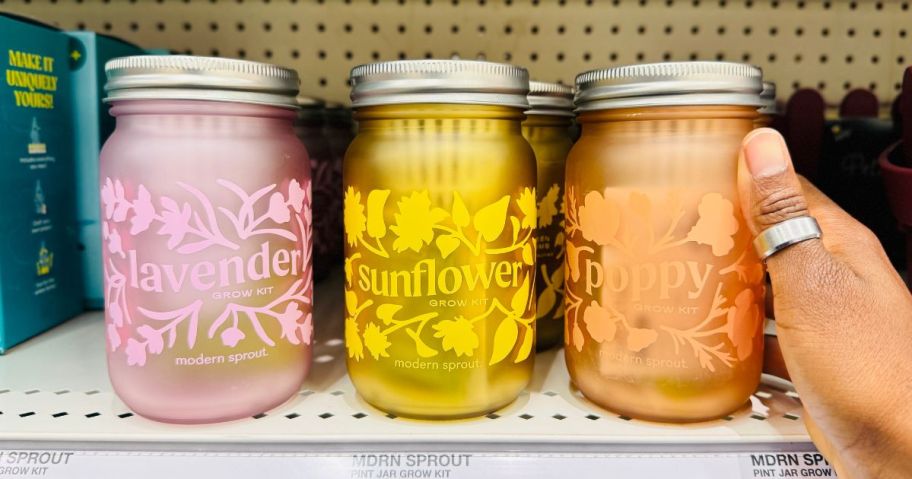 modern sprout lavender, sunflower, and poppy grow kit jars on shelf in store