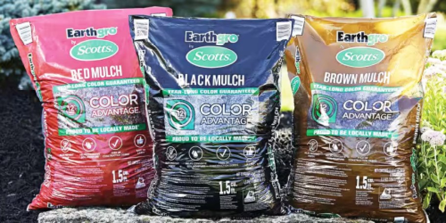 Home Depot Spring Sale Ends TONIGHT | $2 Mulch, $3 Plants, 25¢ Pavers + More!