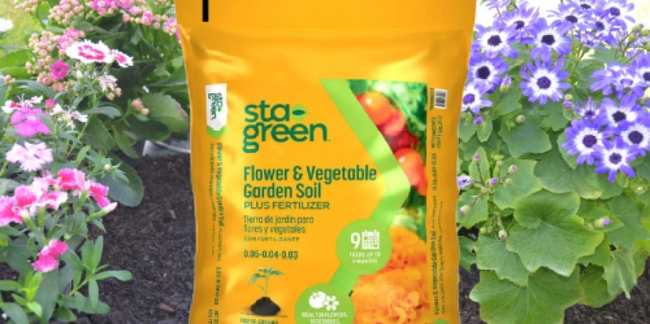 Sta-Green Garden Soil Just $2.24 at Lowe’s | 100K Purchased Last Week!
