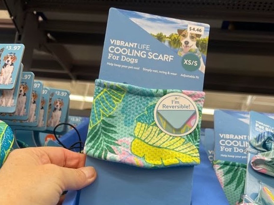 Vibrant Life Cooling Scarf for Dogs