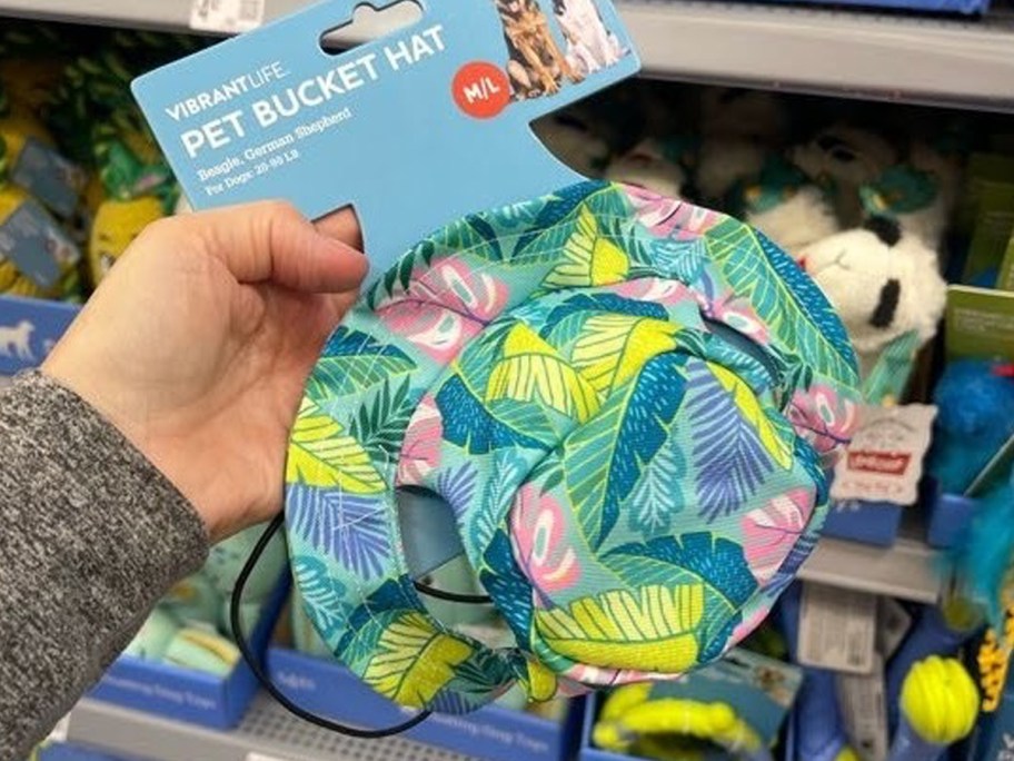 Vibrant Life Pet Bucket Hat