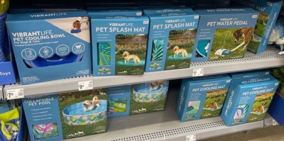 NEW Walmart Pet Accessories (Swimsuits, Hats, Splash Pads & More!)