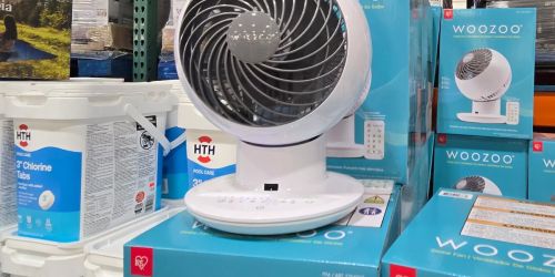 Woozoo Oscillating Fan w/ Remote Control Just $28.99 at Costco (Reg. $50)