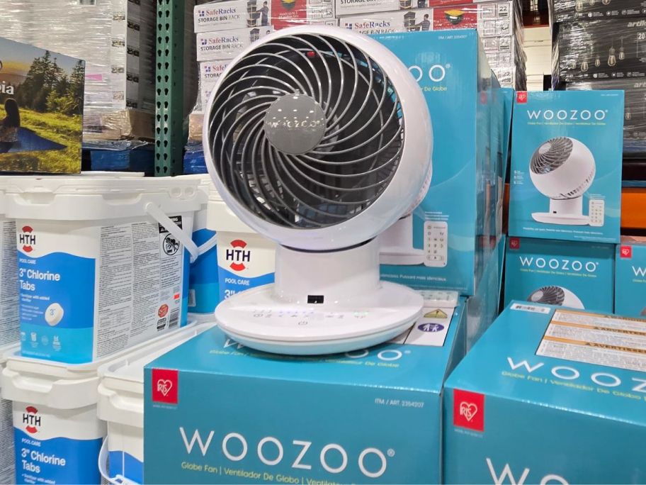 A small oscillating fan in a store 