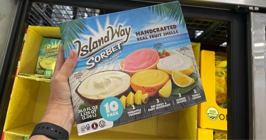 Island Way Handcrafted Assorted Fruit Sorbet 10-Count box in hand in store