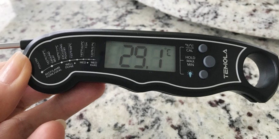 Easy-to-Read Digital Meat Thermometers Only $12.49 on Amazon (Regularly $25)