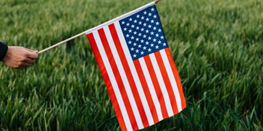 FREE American Flag at Ace Hardware on May 24th