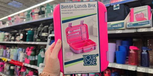 Bento Lunch Box Only $6.98 at Walmart – Includes Utensils & Condiment Container (Bentgo Alternative)