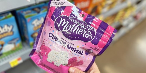 BEST Publix BOGOs This Week | $2 Mother’s Cookies, $1.91 Kraft Cheese, & More