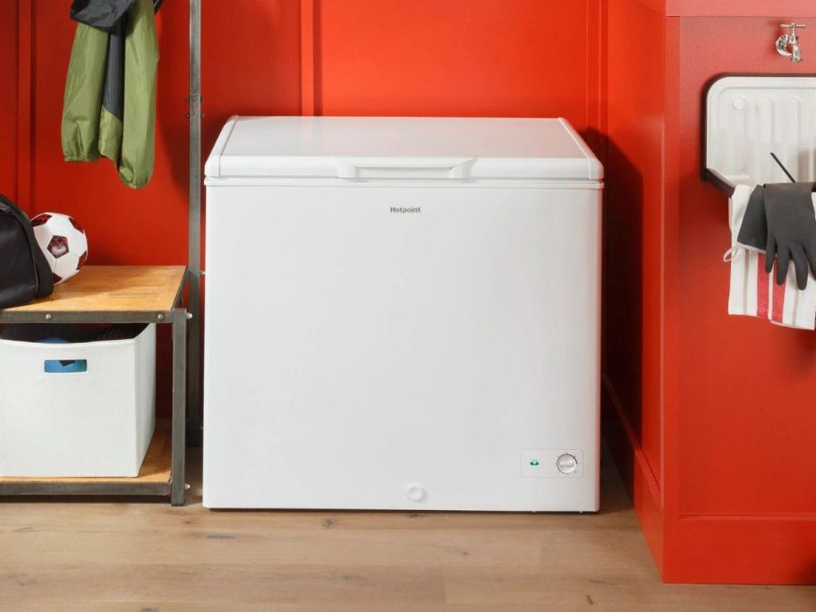 Hotpoint 8.8-cu ft Manual Defrost Chest Freezer in White in rec room