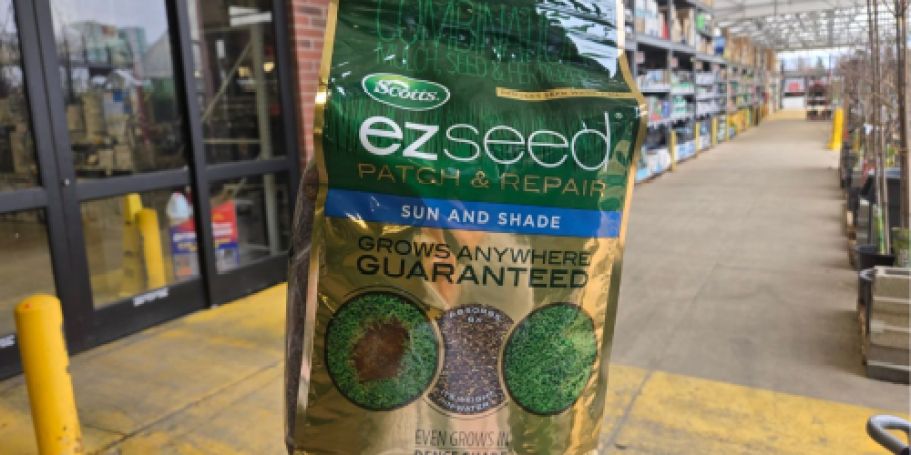 Scotts EZ Seed Grass Seed 10lb Bag Only $22.49 at Lowe’s (Regularly $45)