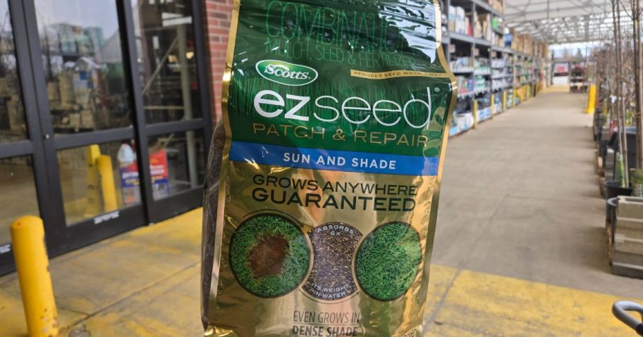 A 10lb bag of scotts ezseed