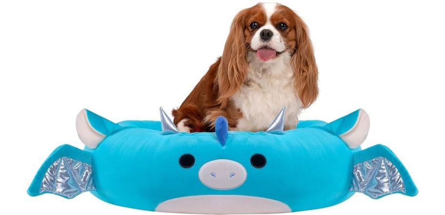 A dog sitting in a Squishmallows Dragon Pet Bed