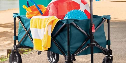 Embark Collapsible Wagon Only $39.99 Shipped on Target.com (Summer Must-Have)