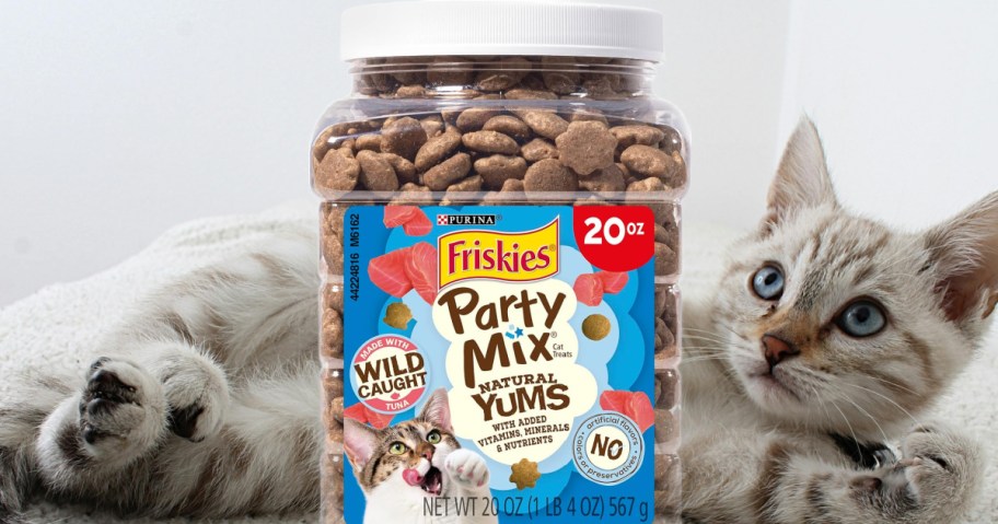A cat with a huge tub of Friskies Party Mix Cat Treats