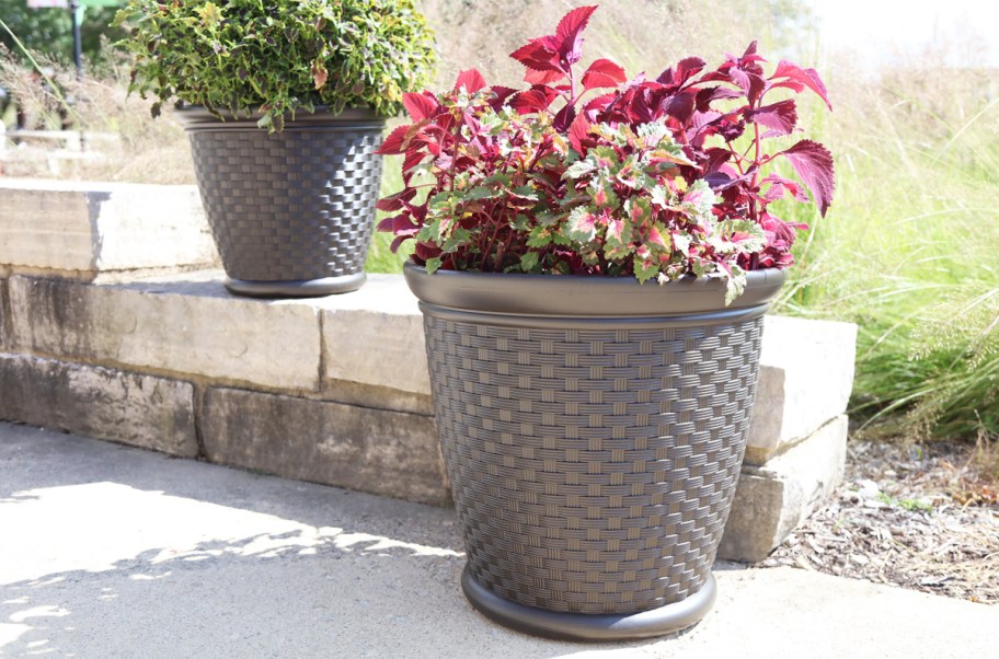 plants in brown plastic planters on patio