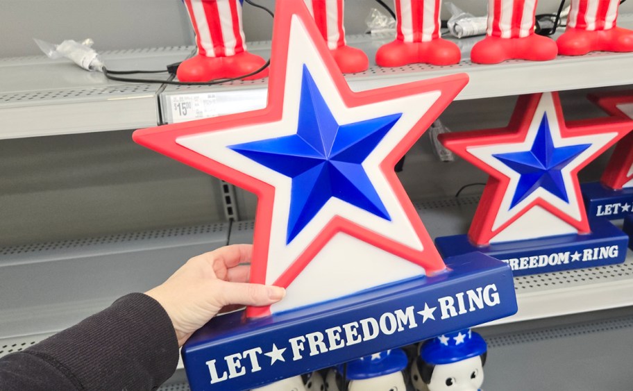 hand holding let freedom ring decor 