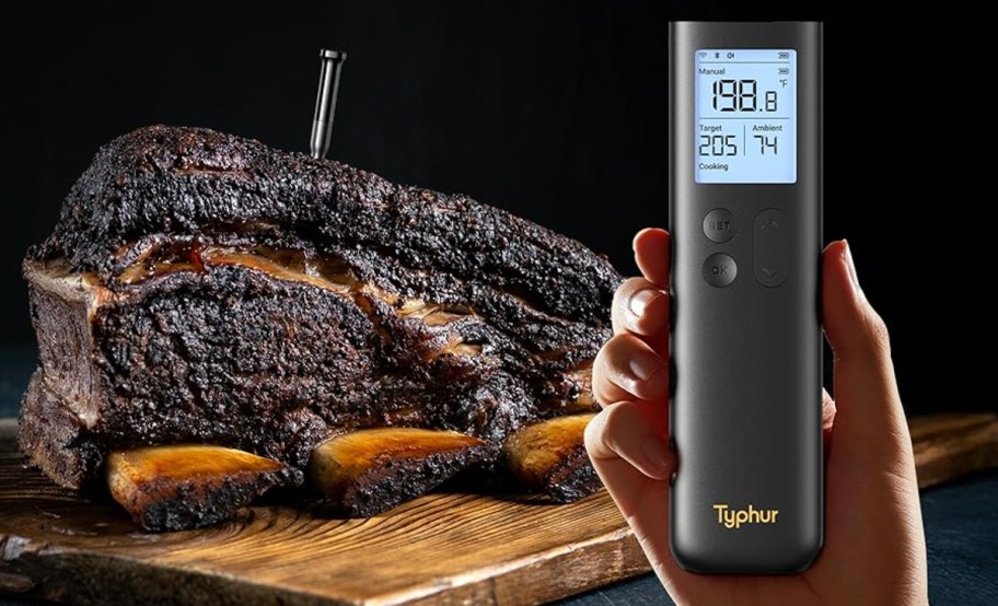 hand holding base while thermometer is in meat