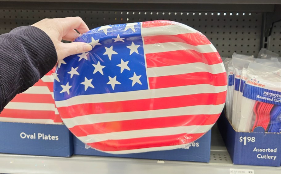 hand holding usa flag plates pack 