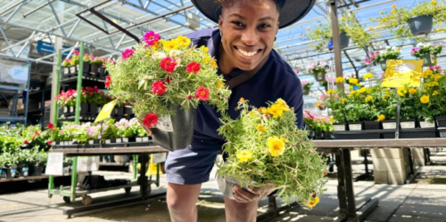 Lowe’s Spring Sale Ends Soon – Last Chance to Save on Flowers, Plants, & Tools!