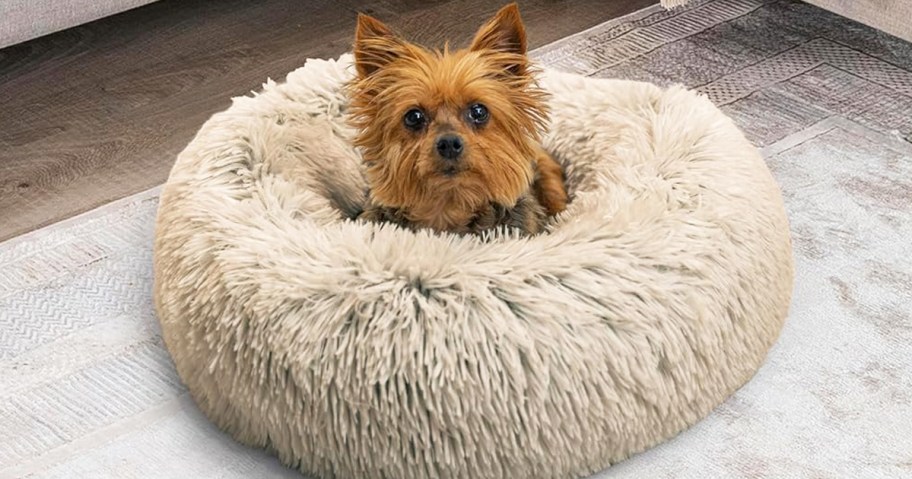 yorkie inside a taupe faux fur donut pet bed