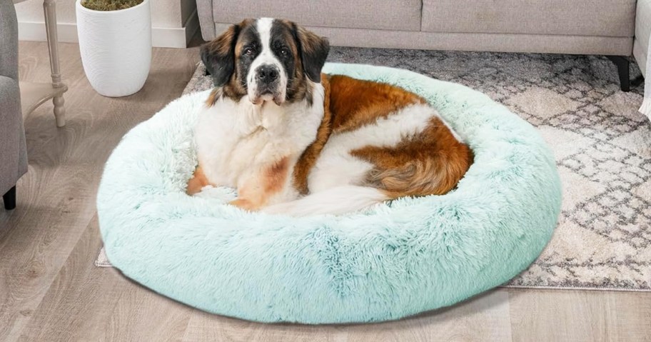 st bernard inside a light blue faux fur donut pet bed