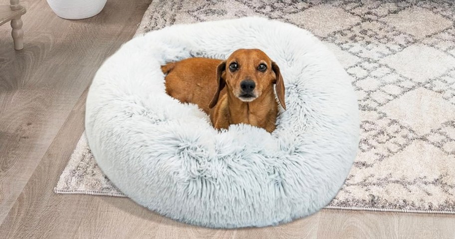 dog inside a light grey faux fur donut pet bed
