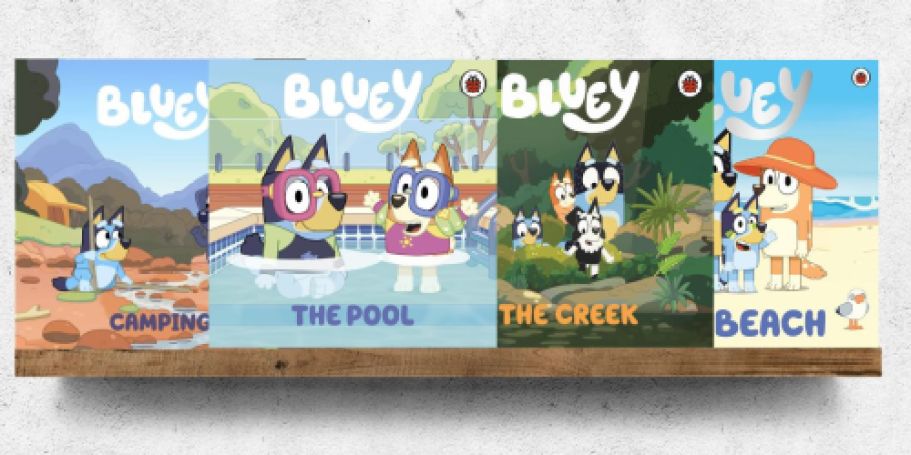Bluey Boxed Books Set Only $10.65 on Amazon (Reg. $20) | Includes 4 Books!