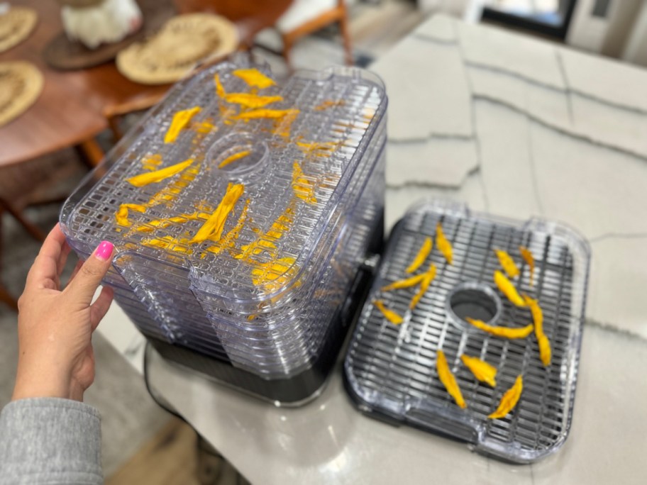 hand reaching for a food dehydrator full of mango slices