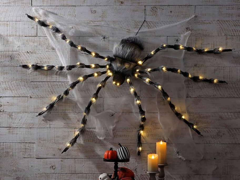 large halloween spider from sams club displayed on the wall