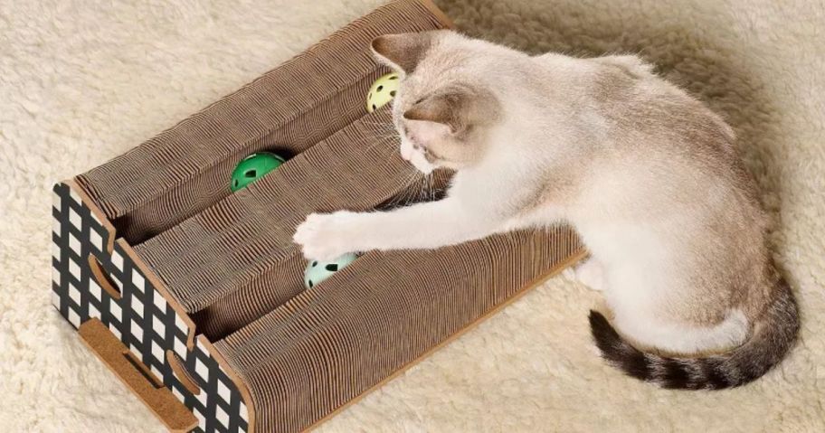 The Cuddle Collab Corrugated Paper Ball Track Cat Toy