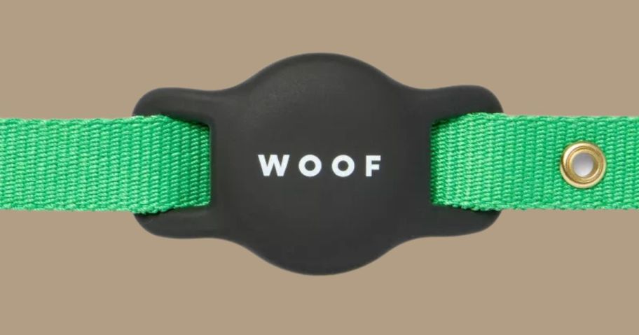 Cuddle Collab Air Tag in green