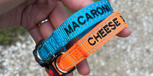 Personalized Reflective Dog Collars from $6.49 on Amazon