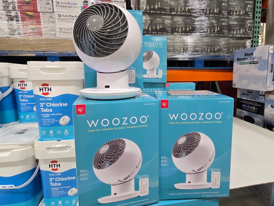 woozoo fan with boxes 