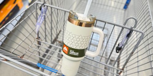 GO! Ozark Trail 40oz Tumbler ONLY $9 on Walmart.com – Perfect Easter Gift
