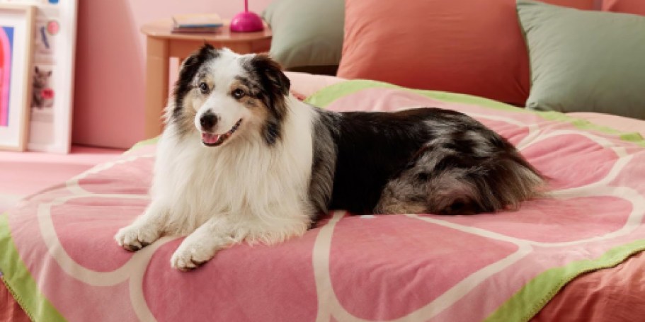 Calming Pet Blanket Only $6.74 on Amazon (Regularly $15)