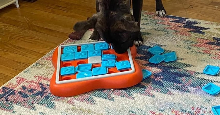 Outward Hound Dog Puzzle Toy Only $8.04 on Amazon (Reg. $26) | Over 14,000 5-Star Ratings