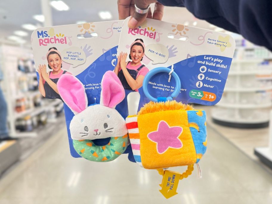 Ms. Rachel Sensory Toys