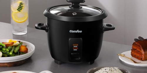 Rice Cooker w/ Spatula & Measuring Cup ONLY $16.99 on Amazon