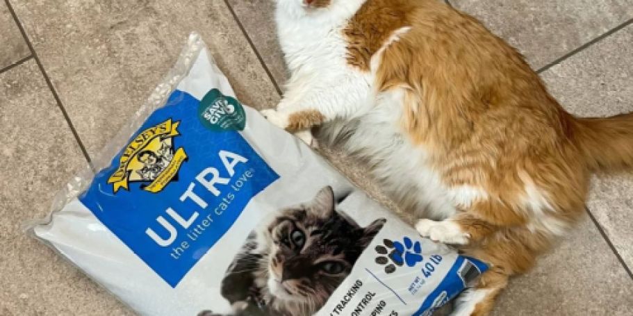 Dr. Elsey’s 40-Pound Cat Litter Only $11.87 Shipped on Amazon (Regularly $24)