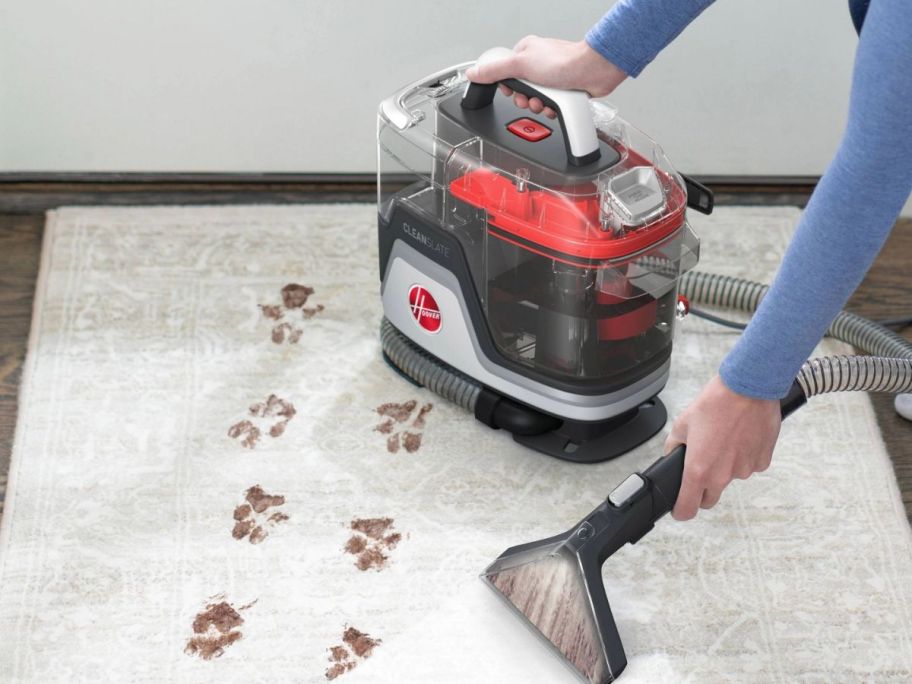 Hoover CleanSlate Portable Carpet & Upholstery Spot Cleaner cleaning dirty paw prints off a carpet