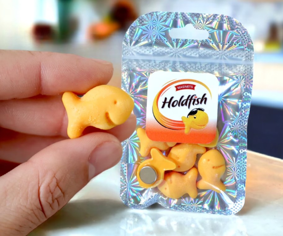 fingers holding gldfish fridge magnet next to bag