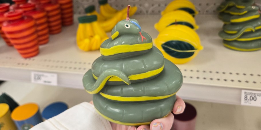 hand holding snake candle