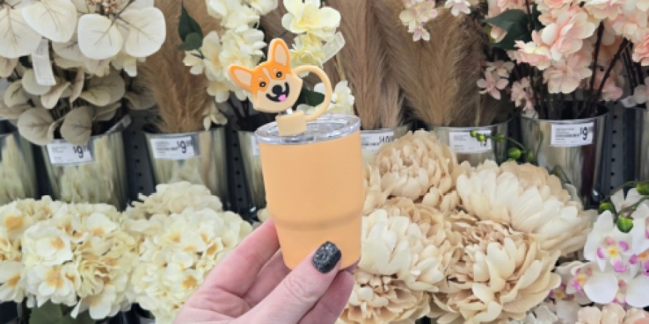 Score 60% Off Tumblers, Straw Toppers & More at Michael’s – Mini Tumblers Just $2.24!