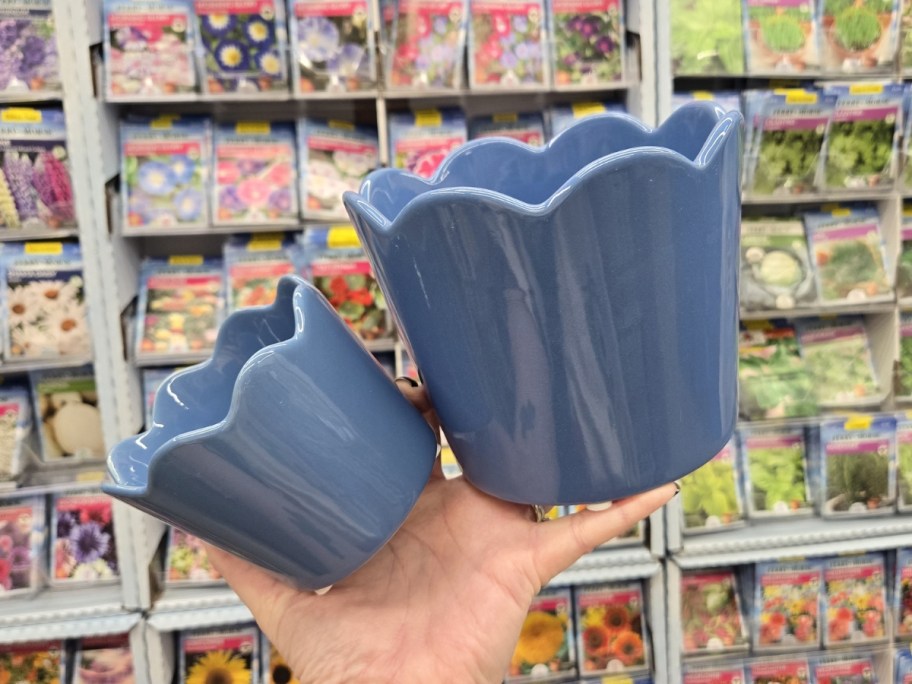 two blue scallop top planters in different sizes in store