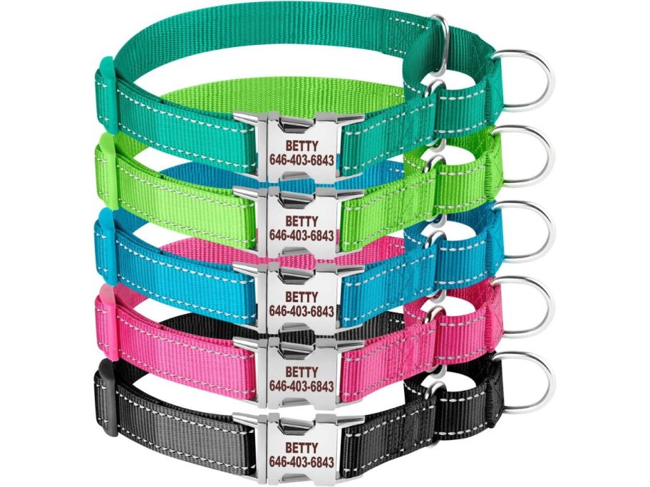 Suncliff Personalized Martingale Dog Collar-Reflective w/ Engraved Buckle