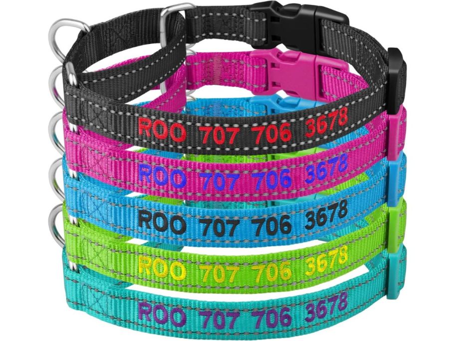 Suncliff Personalized Martingale Dog Collar-Reflective