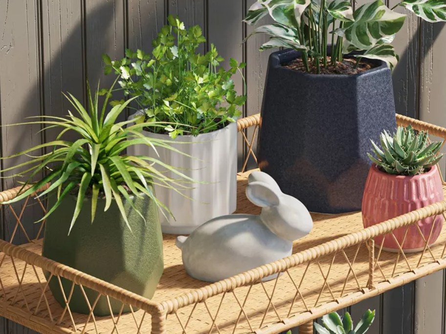 Threshold Geared Geometric Ceramic Indoor Outdoor Planter Pots