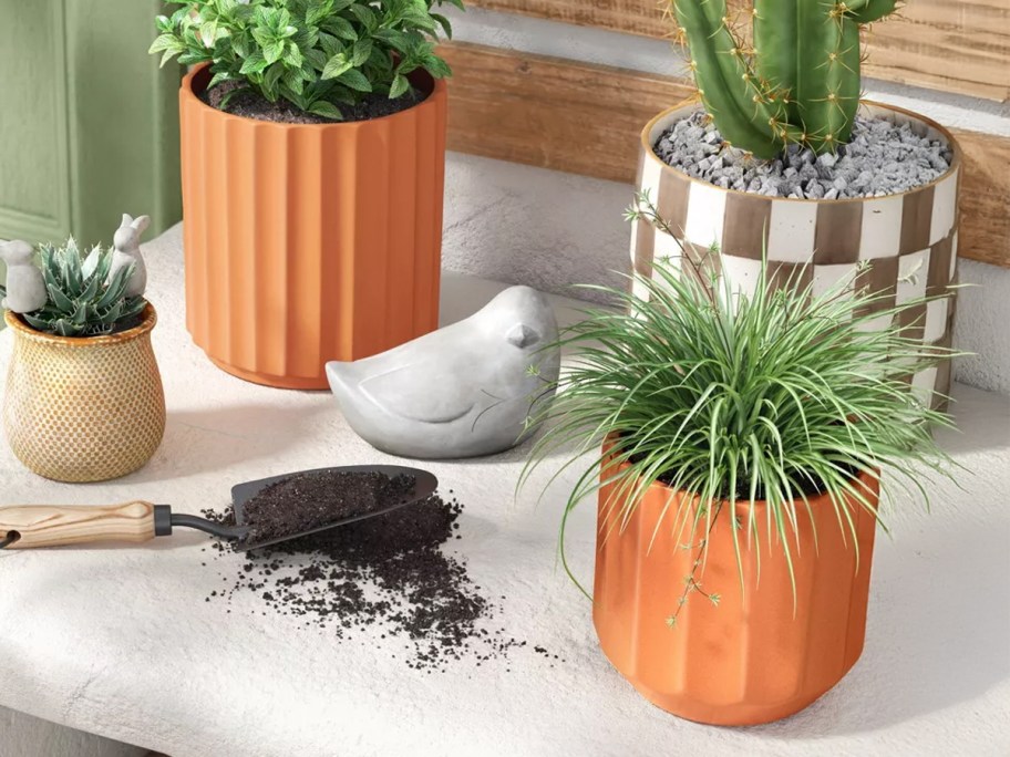 Threshold Geared Terracotta Indoor Outdoor Planter Pots